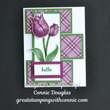 Hello Tulips