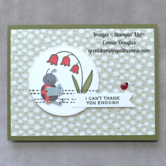 Connie's Craft Along