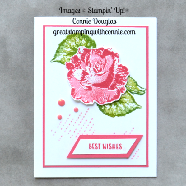 Lunch Break - Craft Spot Begonia Belle