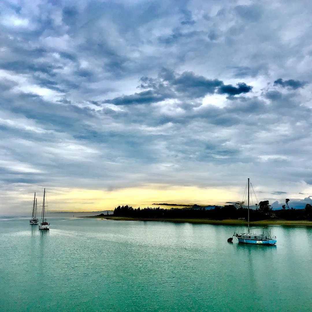 Mapaua.jpg