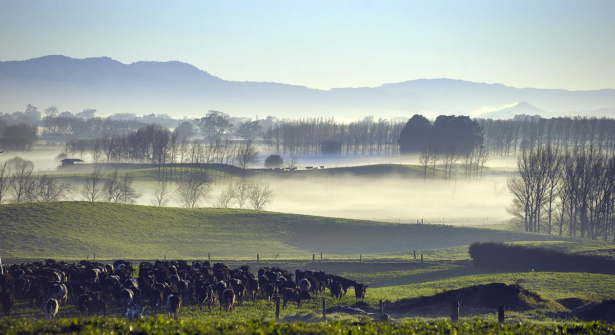 CHP 20170608-01c.jpg