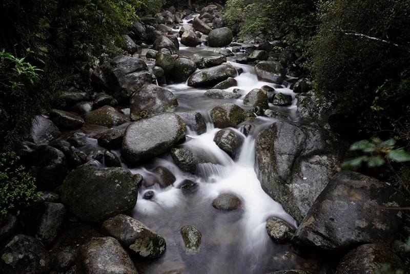 Wairere Falls, Waikato.