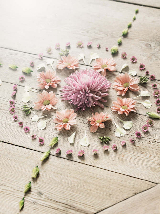 79ideas-fresh-flowers-petra-bindel.png