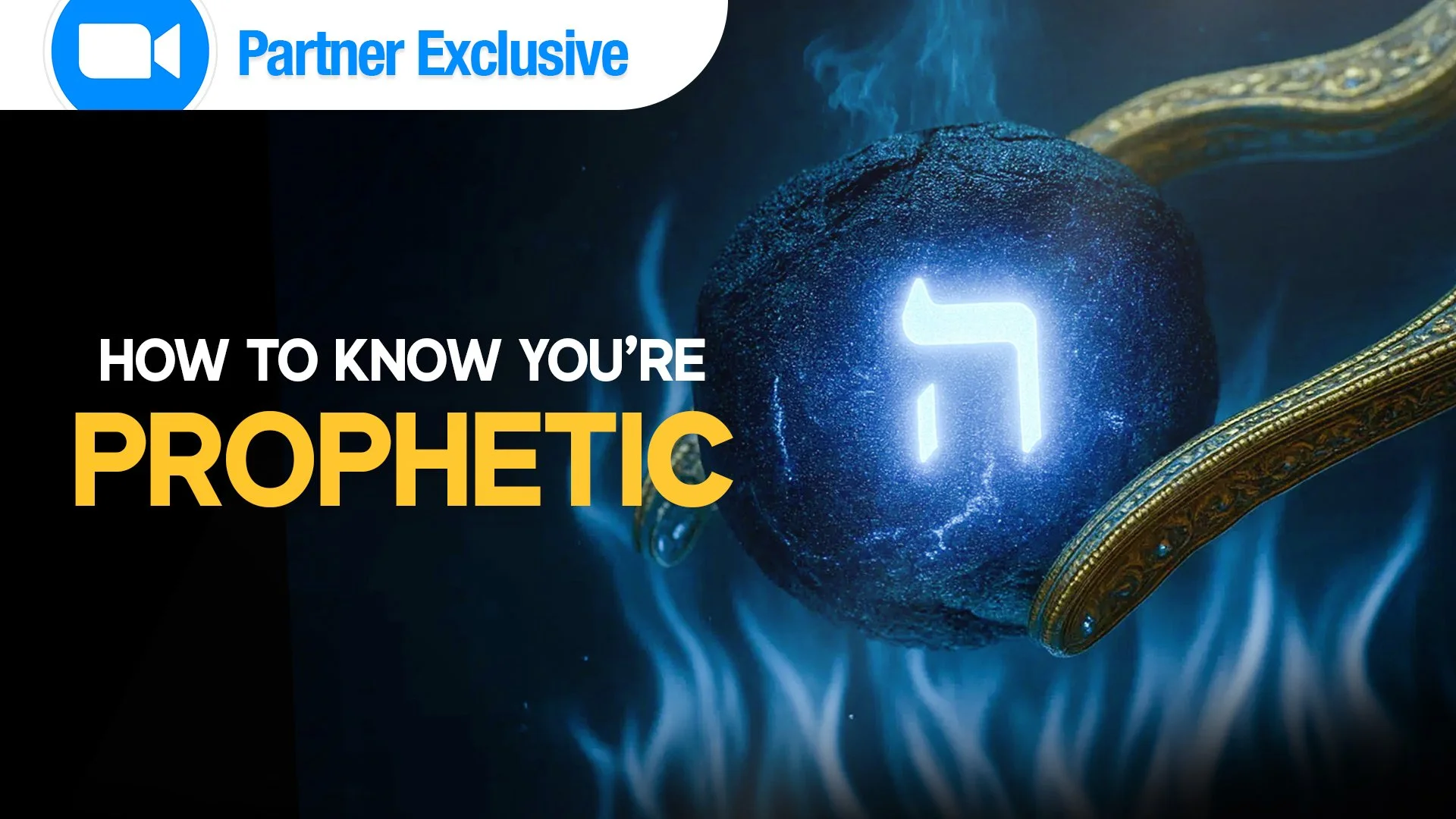 Exclusive Partner Zoom Call (LIVE and Interactive Q&A)