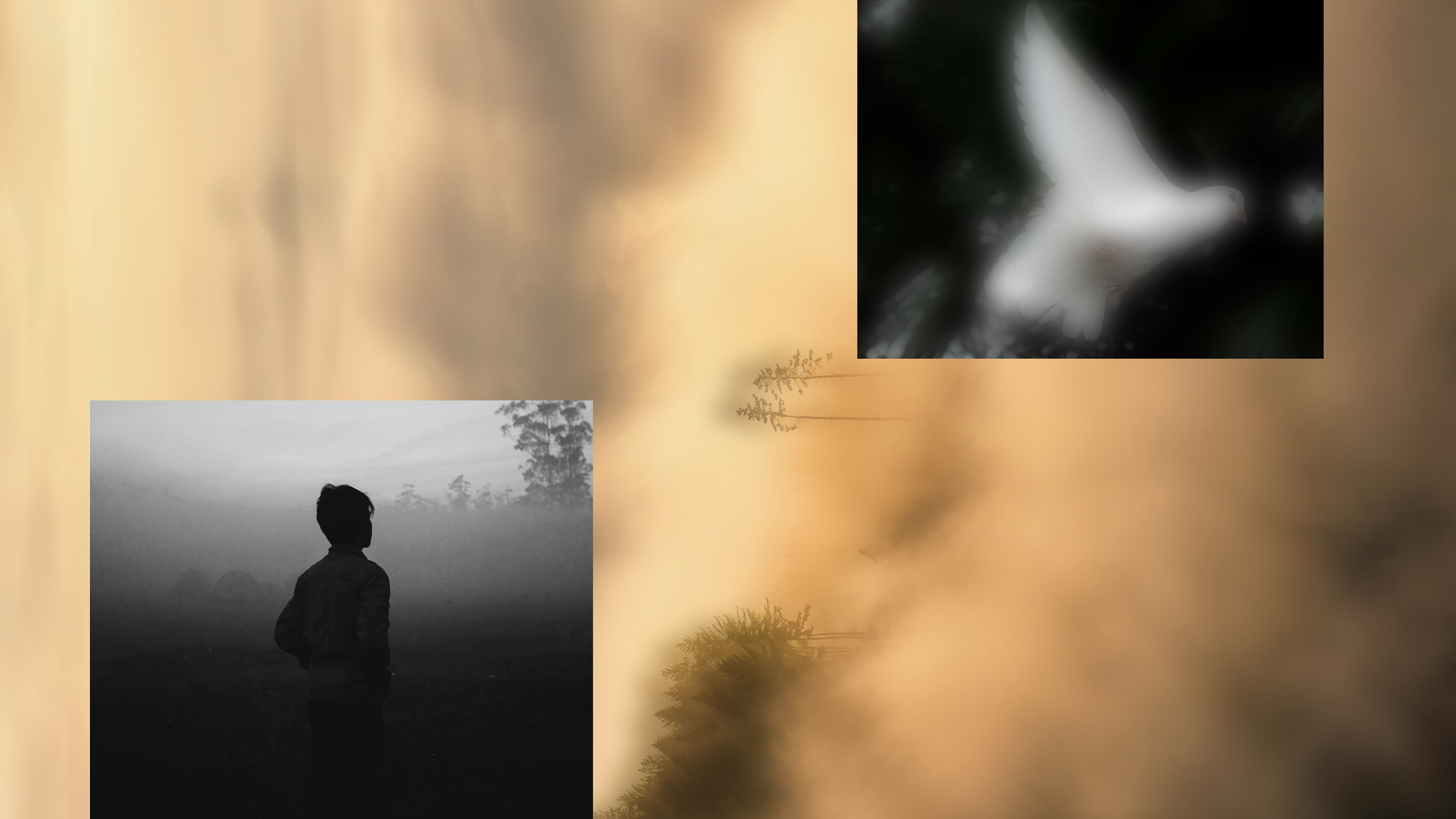 When the Holy Spirit Feels Distant