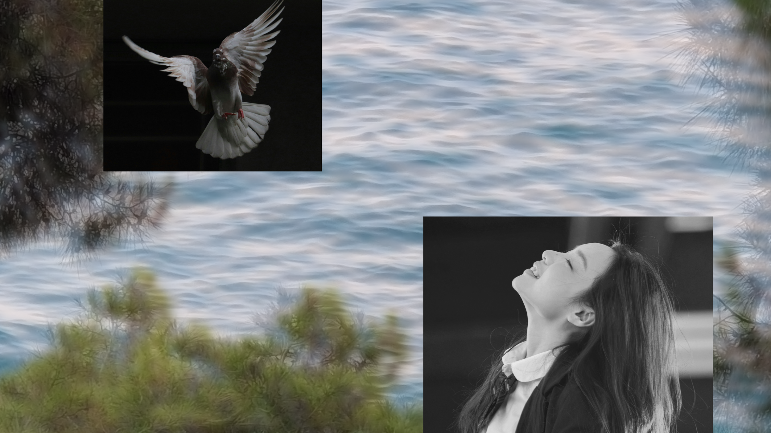 5 Sins of the Tongue Every Christian Must Avoid