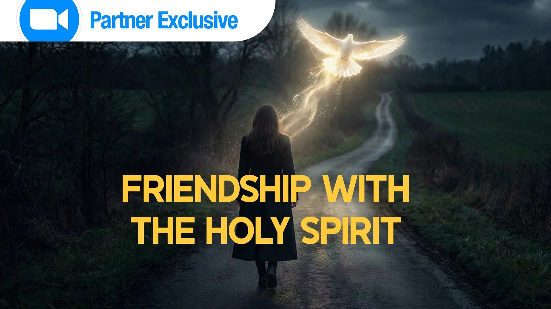  Exclusive Partner Zoom Call (LIVE and Interactive Q&A)