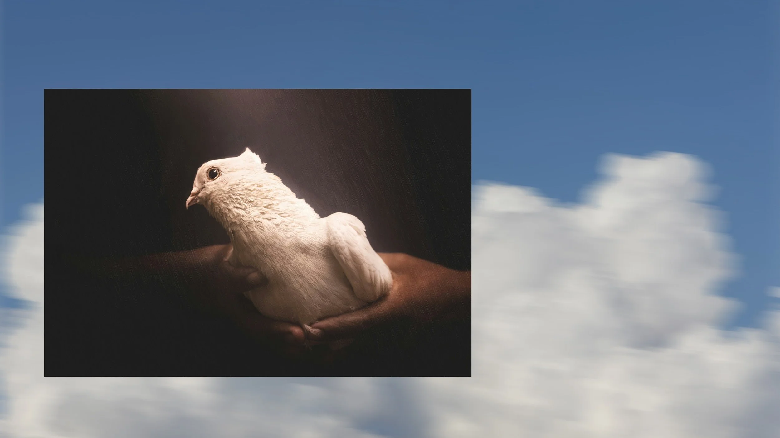 How to Recognize the Voice of the Holy Spirit