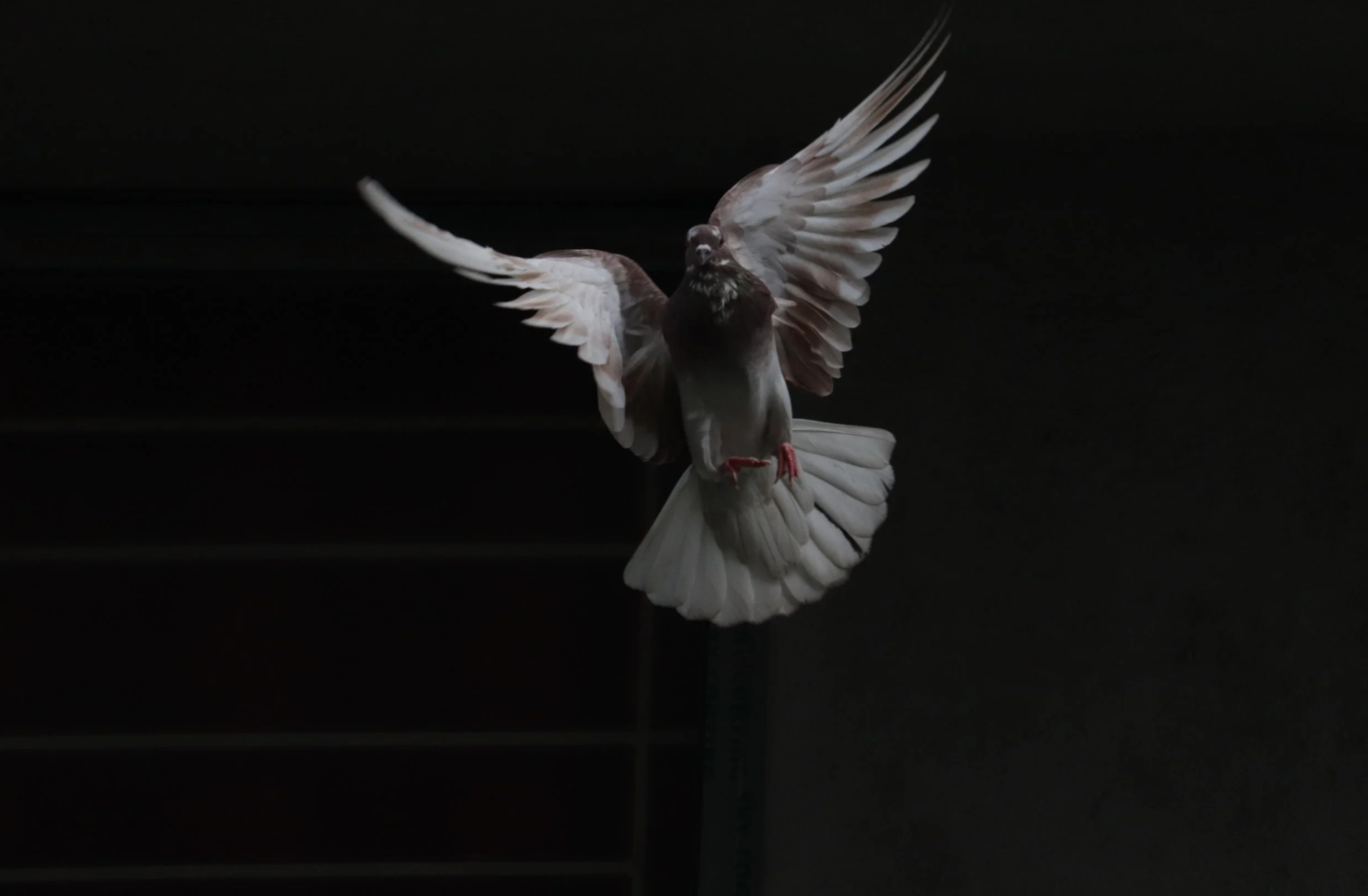 How to Receive the Holy Spirit