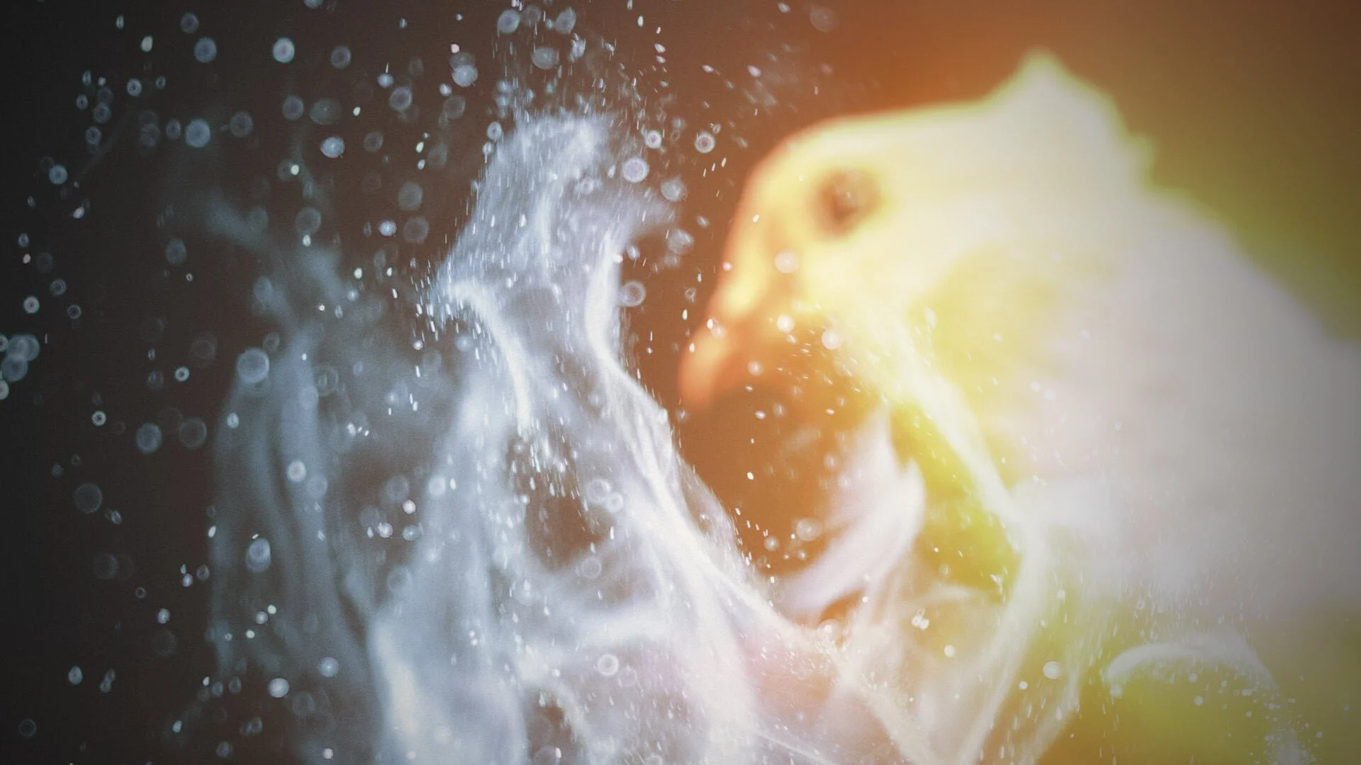 The Holy Spirit is God