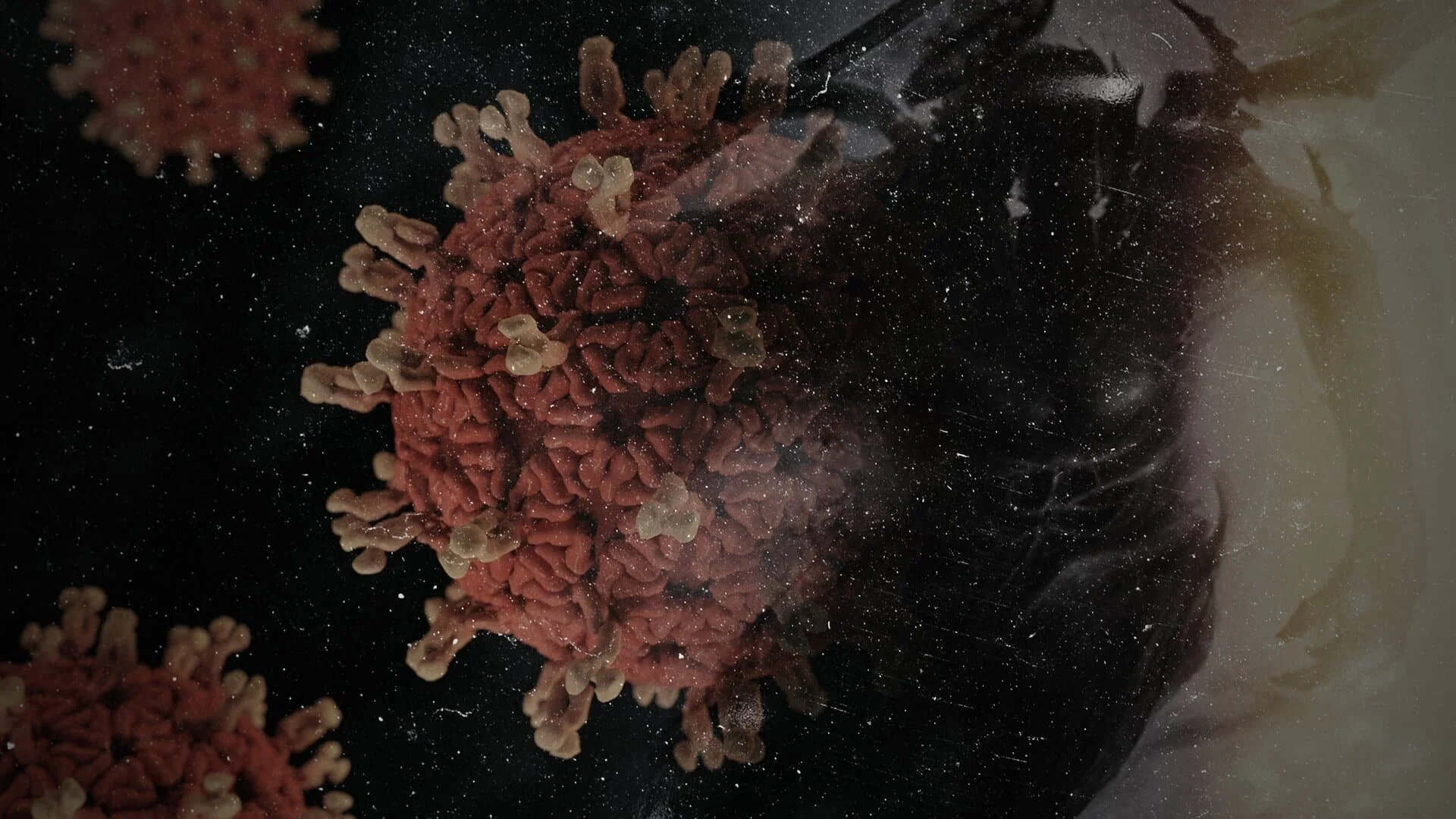 Overcoming the Virus