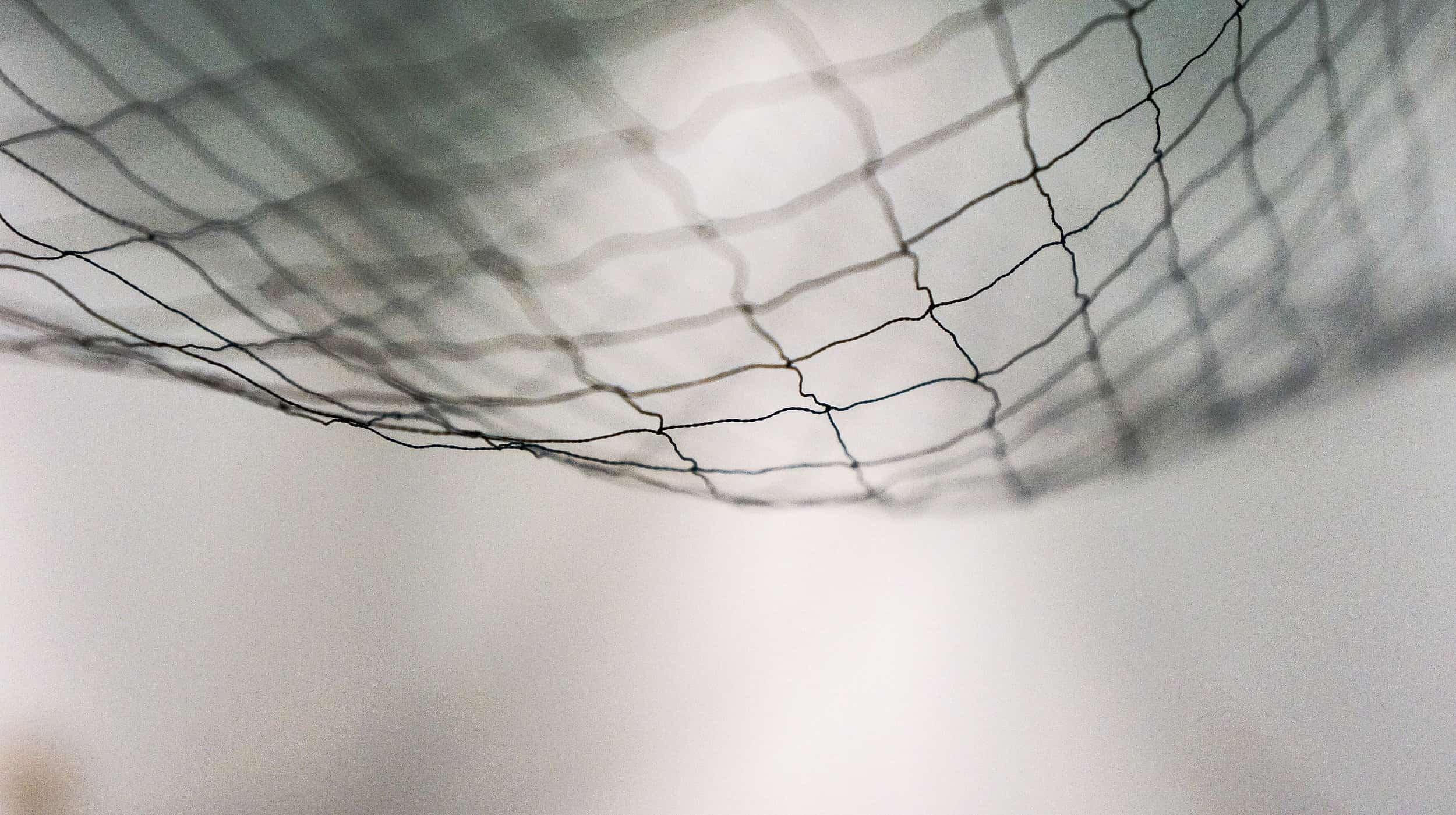 Cast Your Net Again