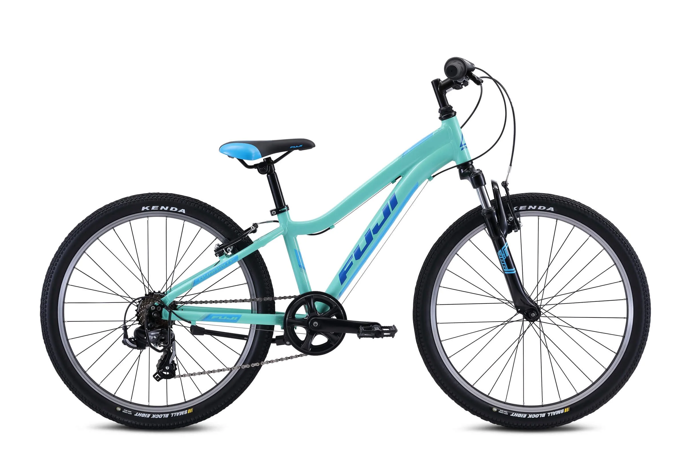 2021_FUJI_DYNAMITE_24_SPORT_MINT.jpg