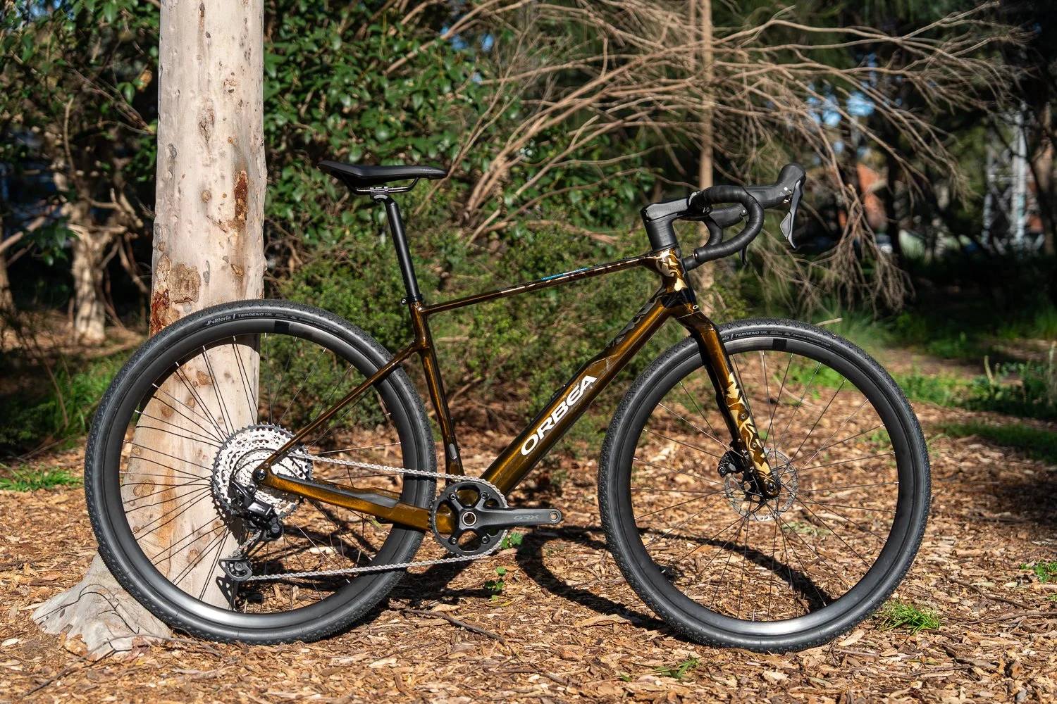 Terra M30 1x