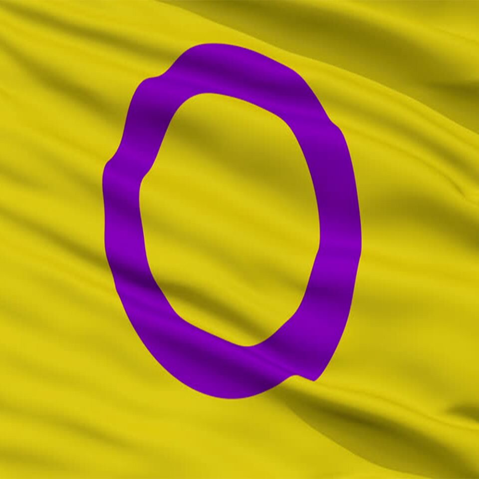 Intersex Day of Remembrance/Solidarity Day: Solidarity with Kenyan intersex persons with disabilities