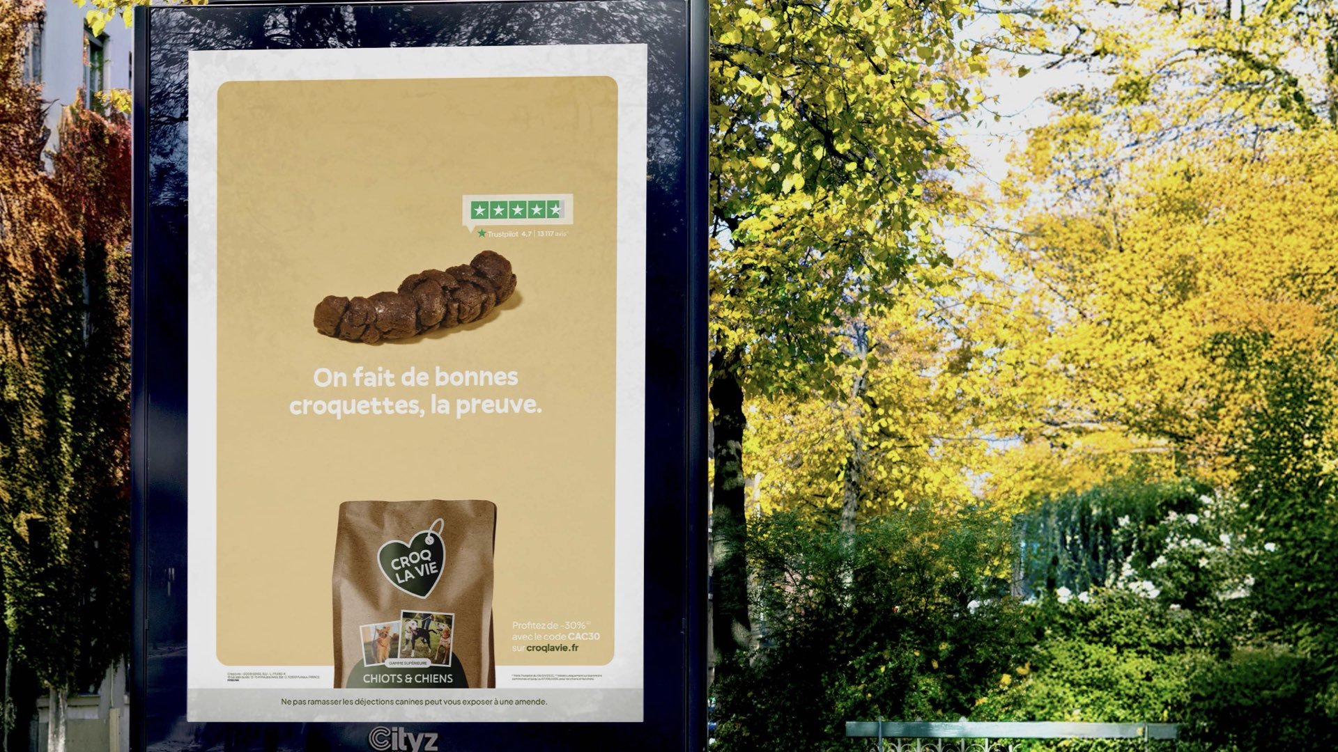 PÉPITE DE BRONZE