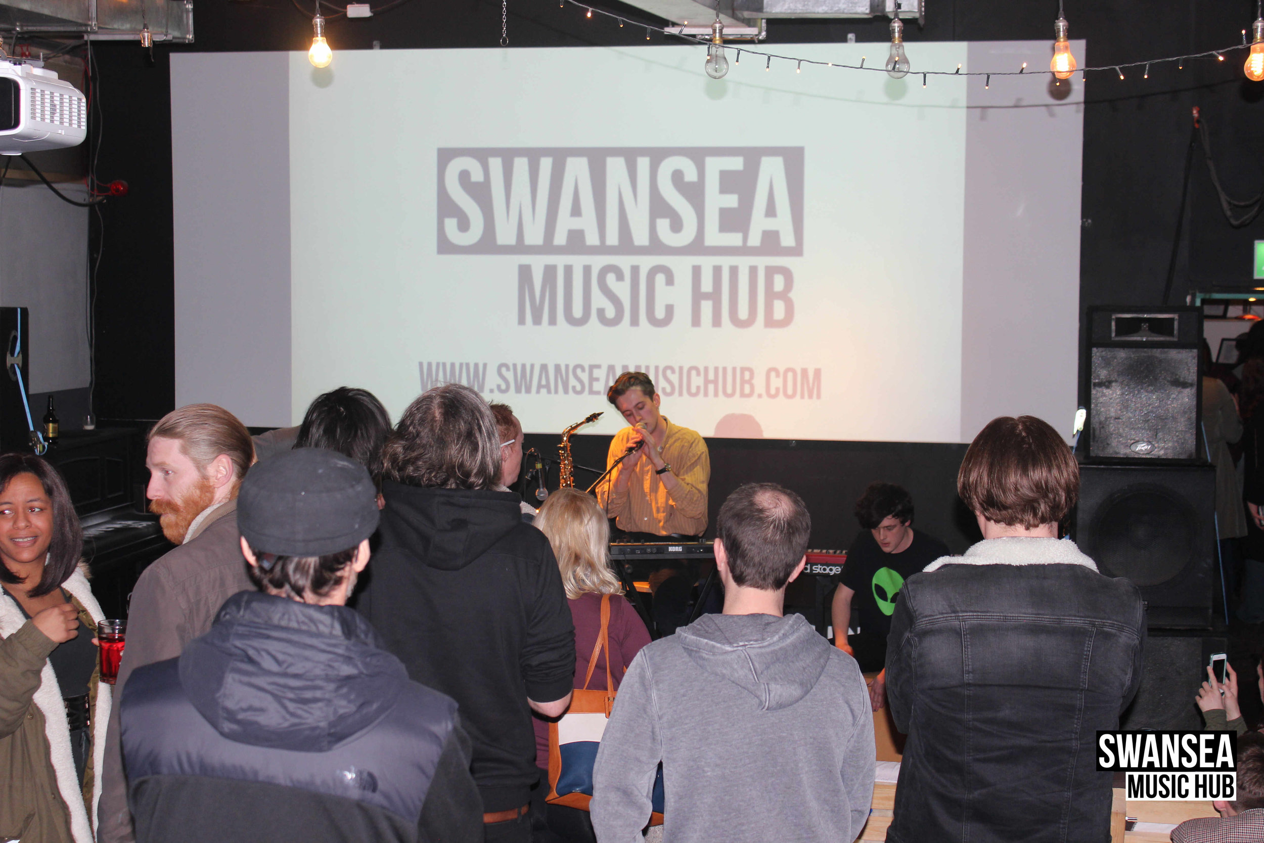 Swansea Music Forum Bandicoot 4.jpg