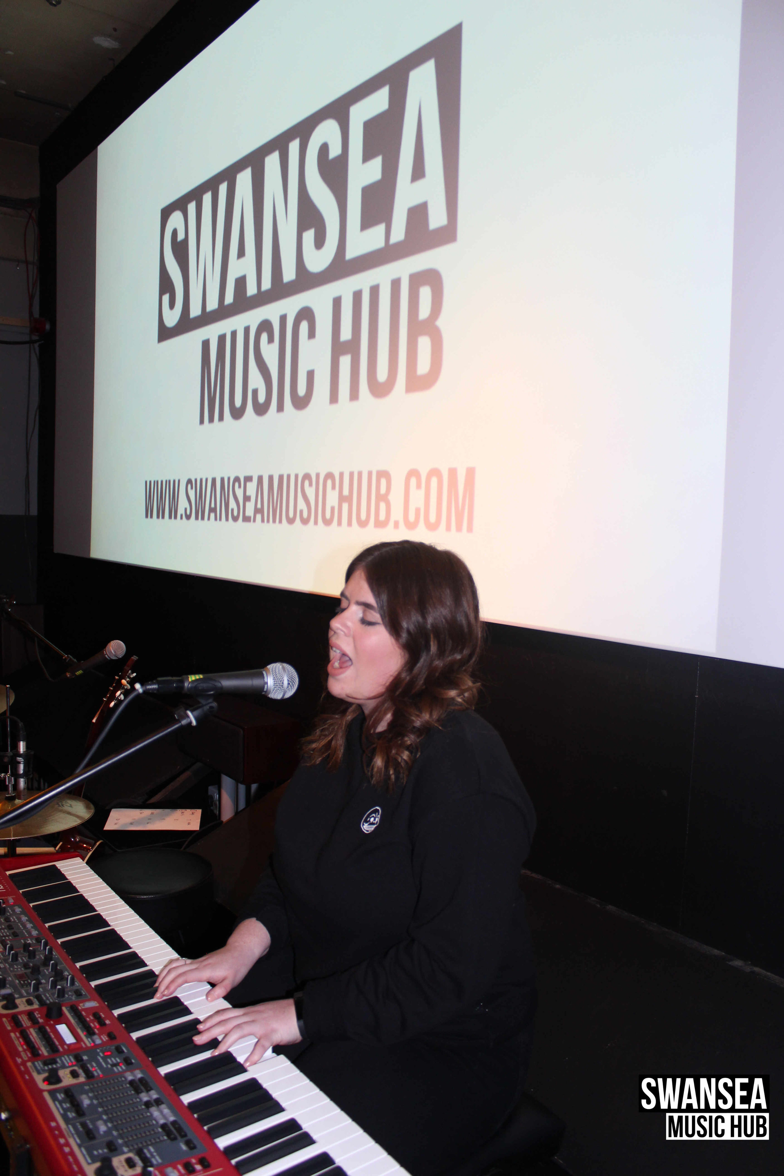 Swansea Music Forum Emily Merry 2.jpg