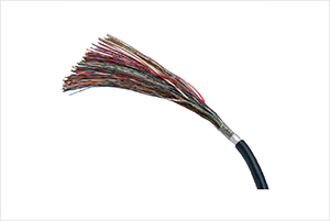 CW1308B Internal/External Cable