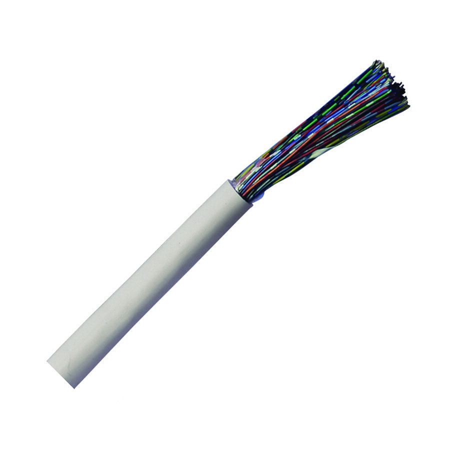 CW1308 Cable 25pr.jpg