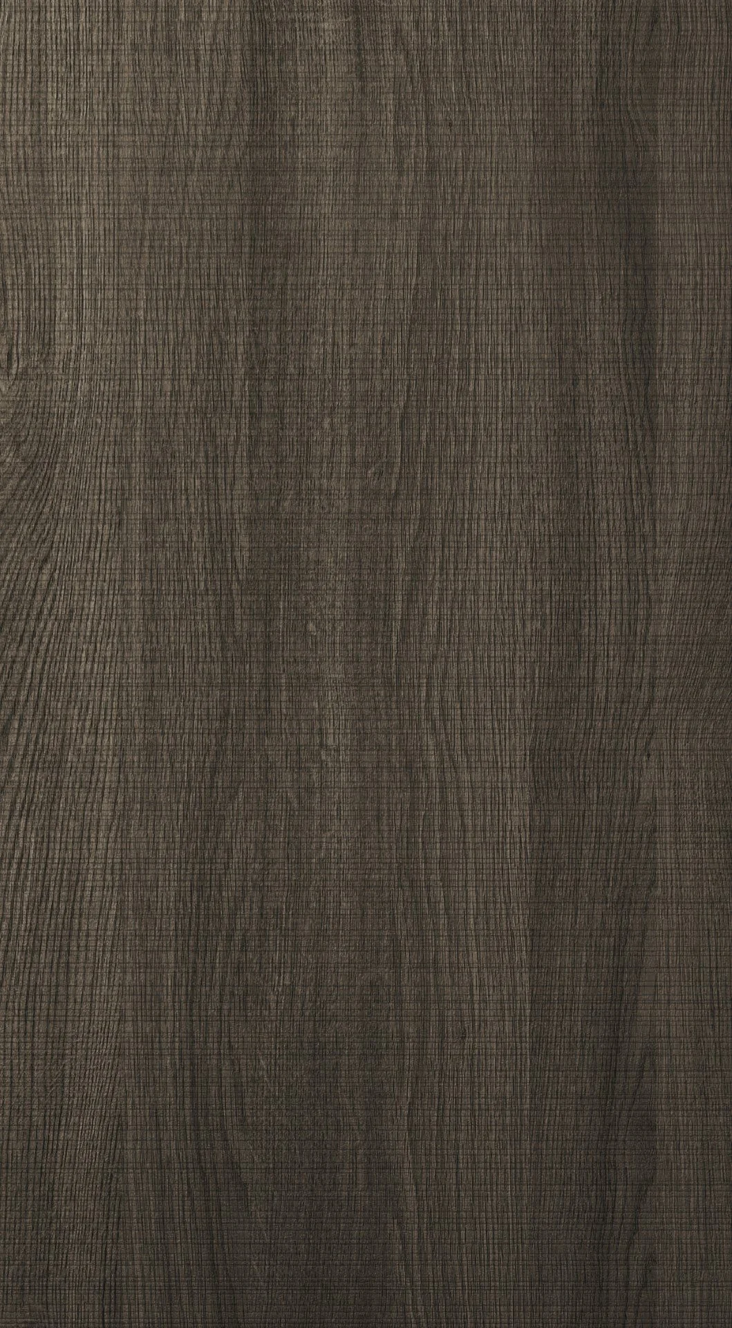 Rezana Carbon.jpg