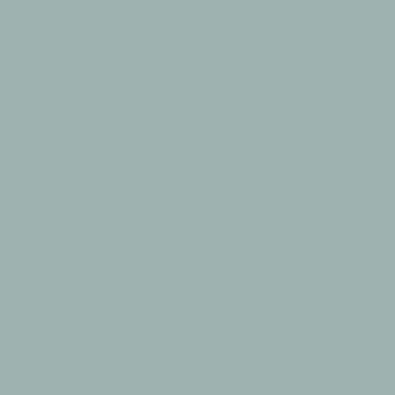 Light Teal.jpg