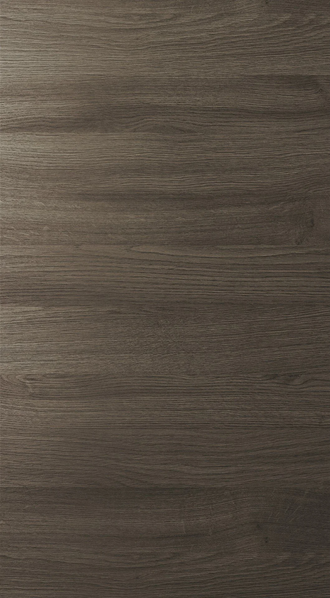 Tavola Carbon.jpg