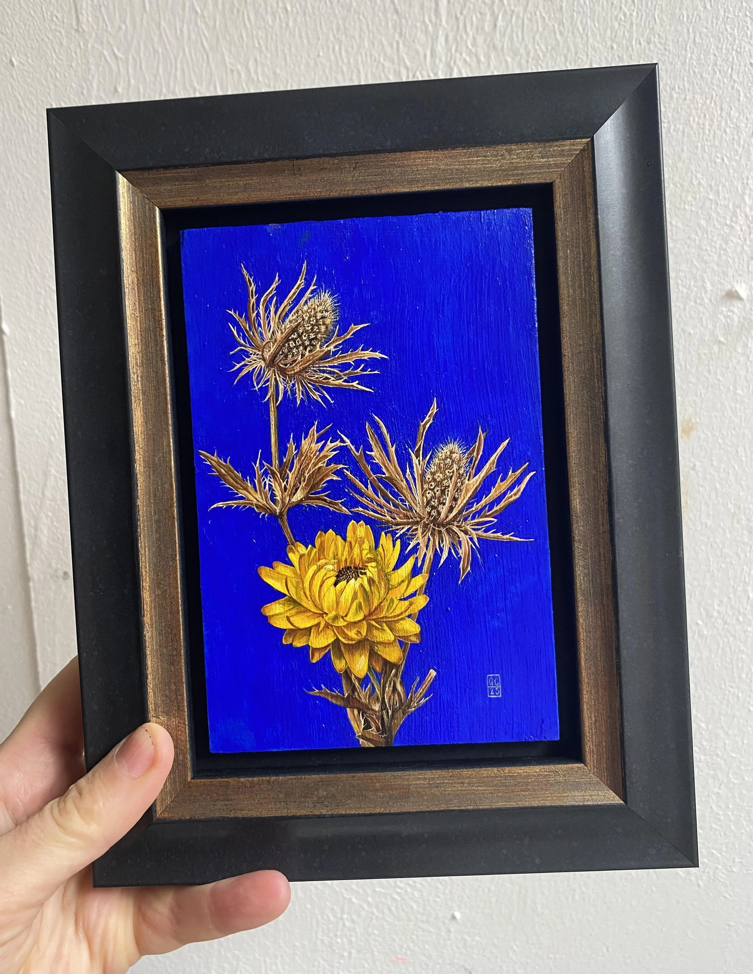 Straw flower & Eryngium