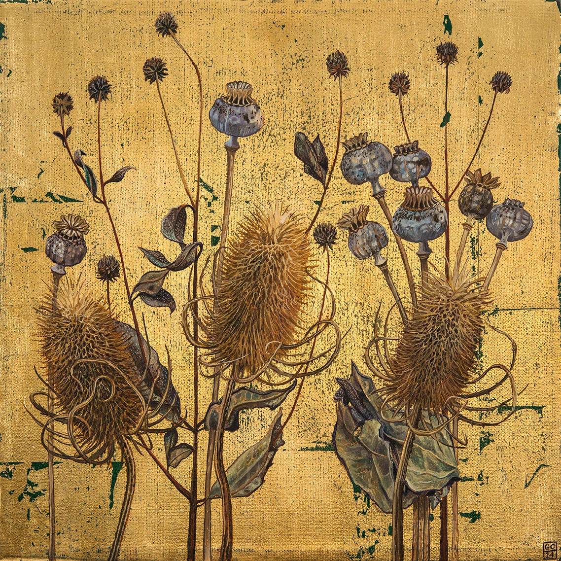 'Teasels and Poppy Pods', Oil and Metal Leaf on Canvas, 30cm x 30cm, 2015 .SOLD
