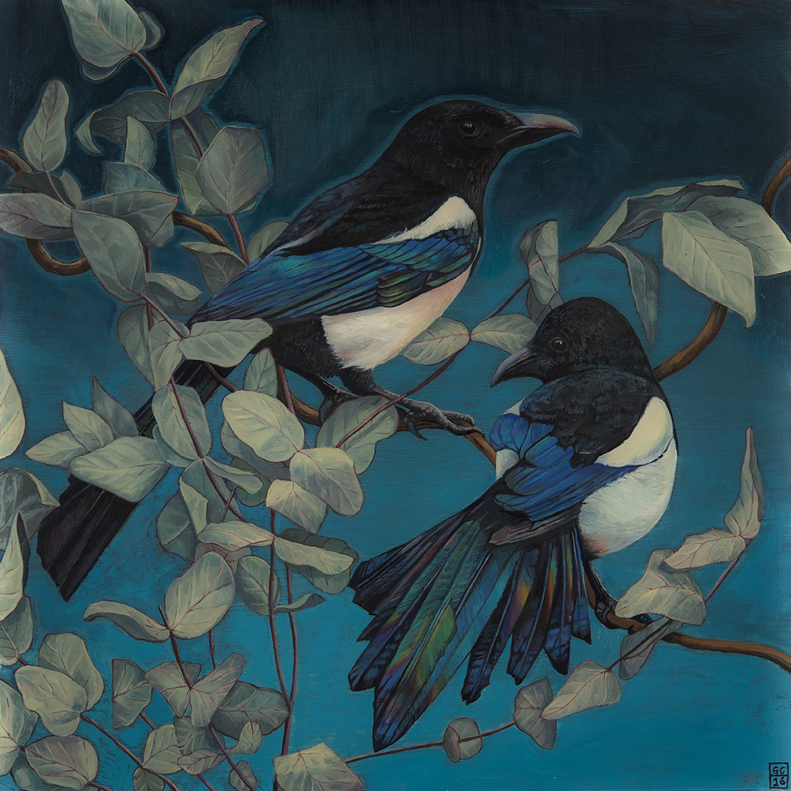 Magpies and Eucalyptus, Oil on board, 30cm x30cm 2016 SOLD