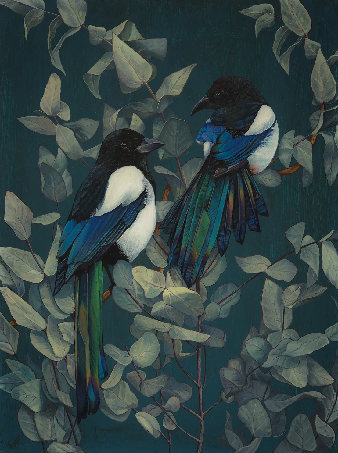 Magpies and Eucalyptus 2 , Oil on Panel, 40cm x 30cm, 2016.SOLD