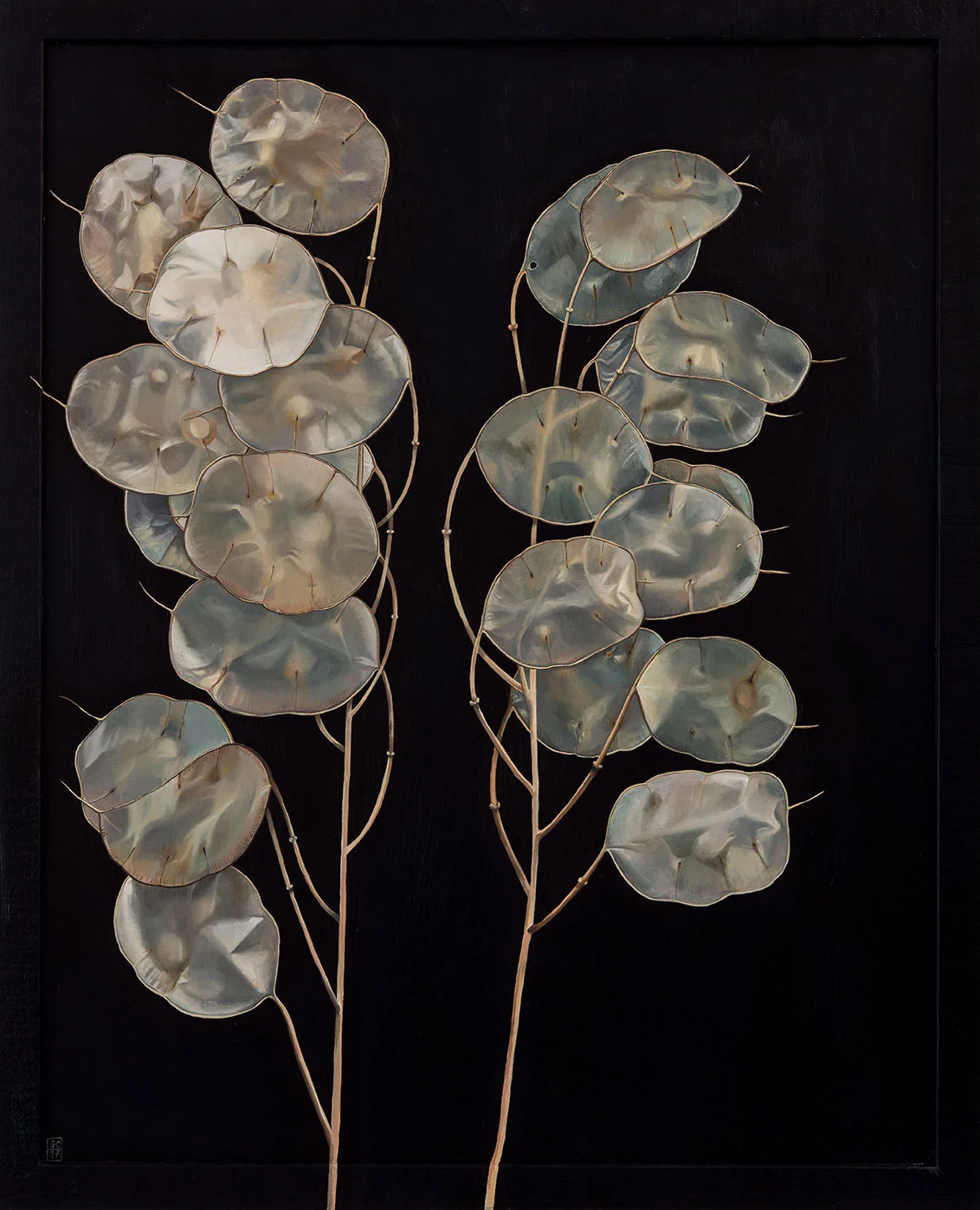 'Large Honesty', Oil on Panel, 88cm x 61cm, 2017. SOLD