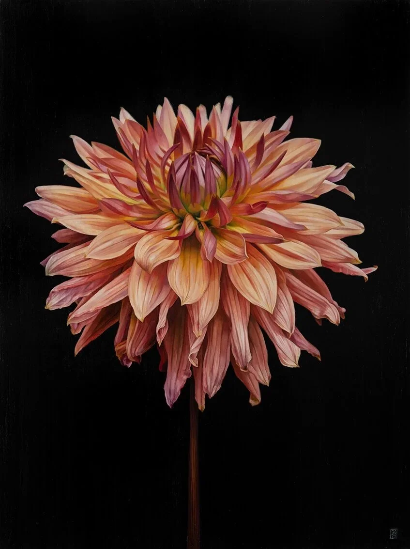 Black Dahlia Botanical Print, Dark Floral Fine Art Print UK