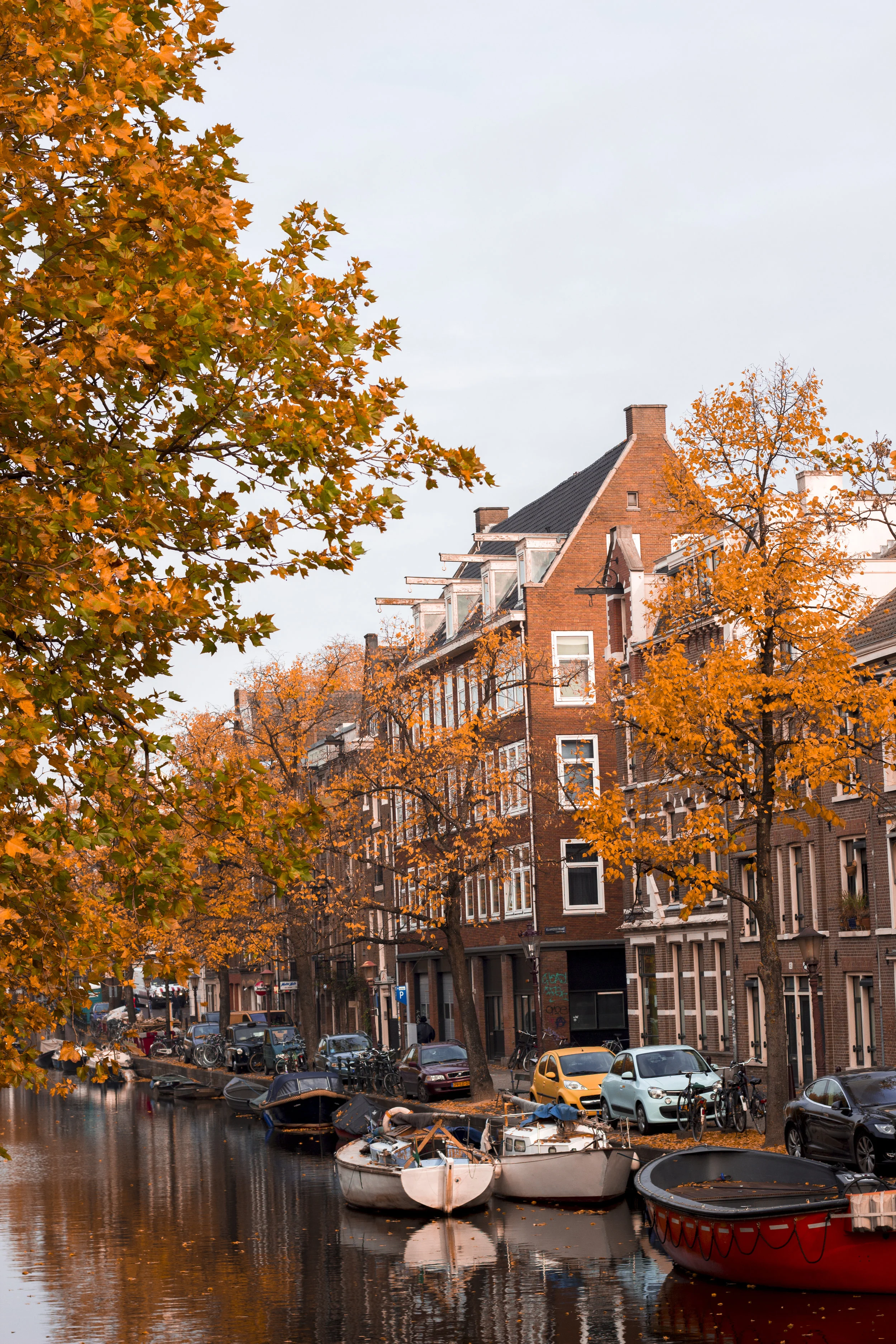IMG_3435_amstedam_edit.jpg