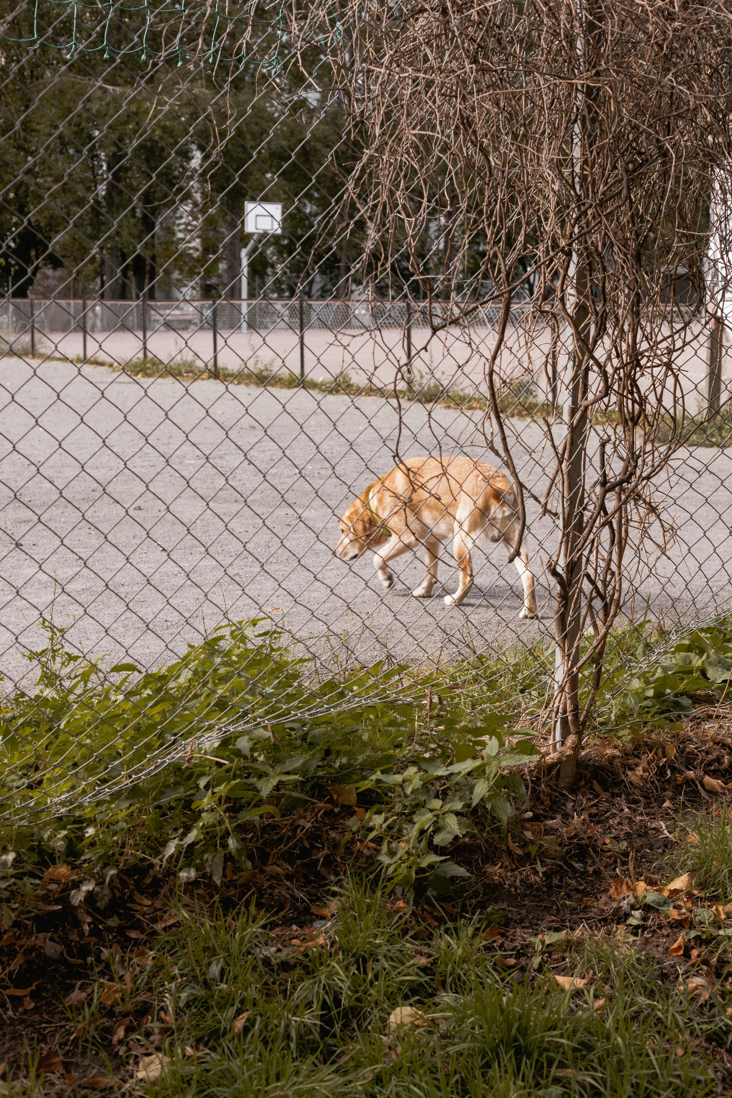 _MG_0146.jpg