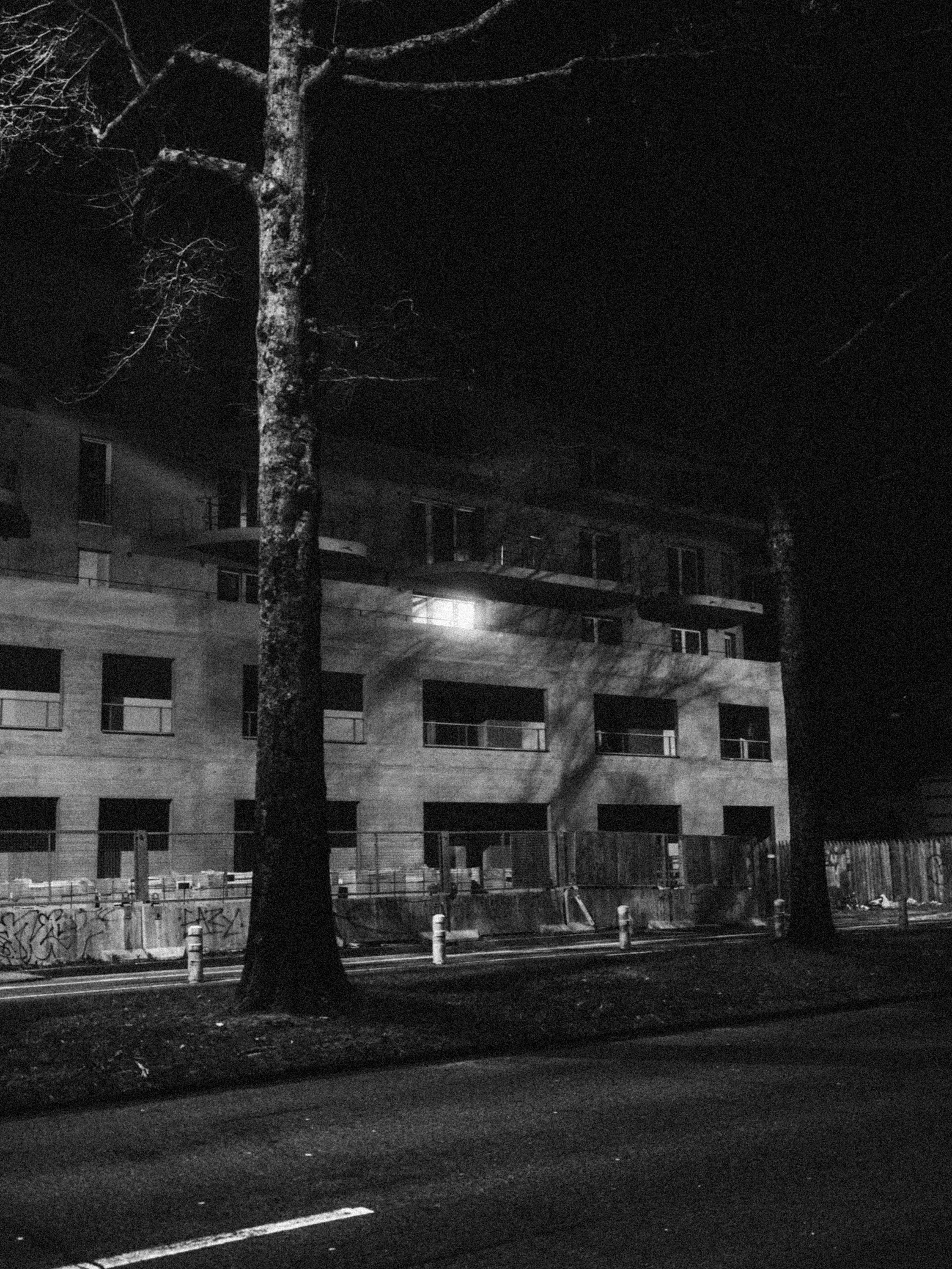 2026.02 LAME D'ARBRE_DSF4477.jpg