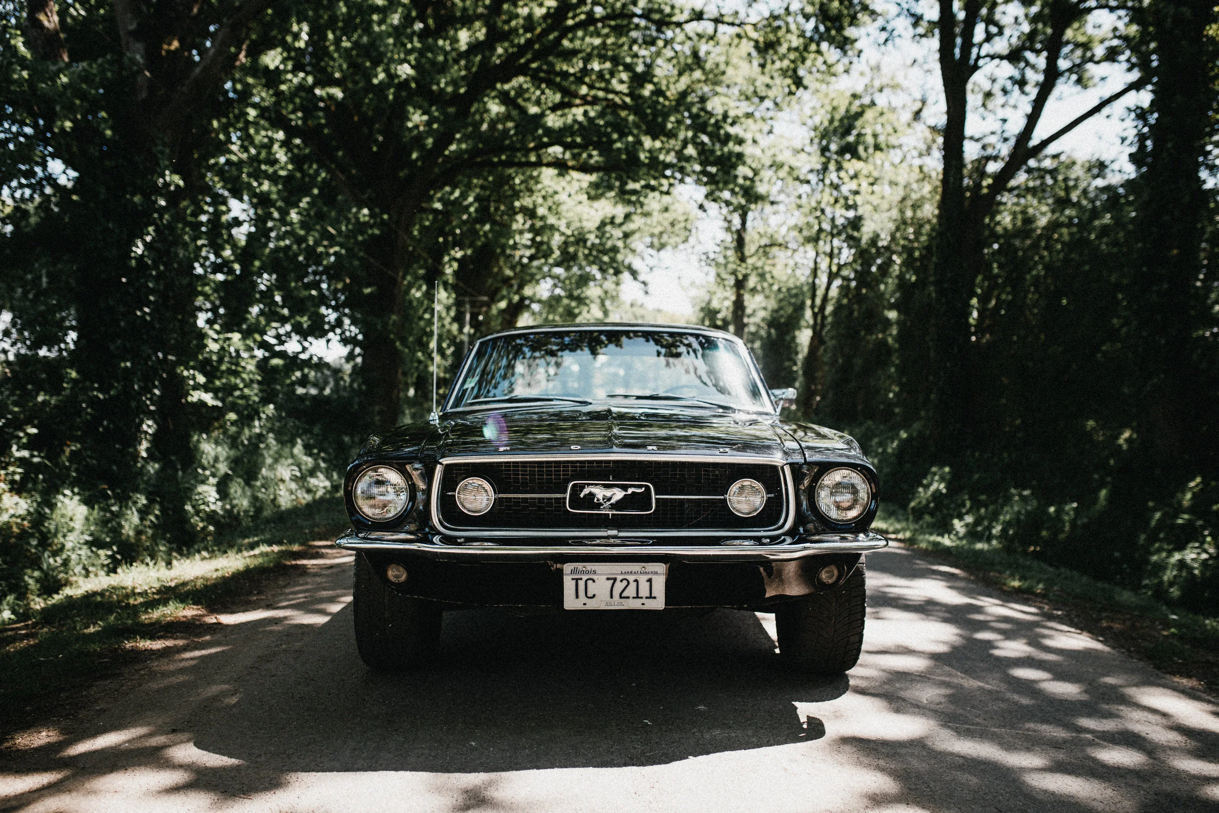 2019.05.13 Mustang HC-7627.jpg