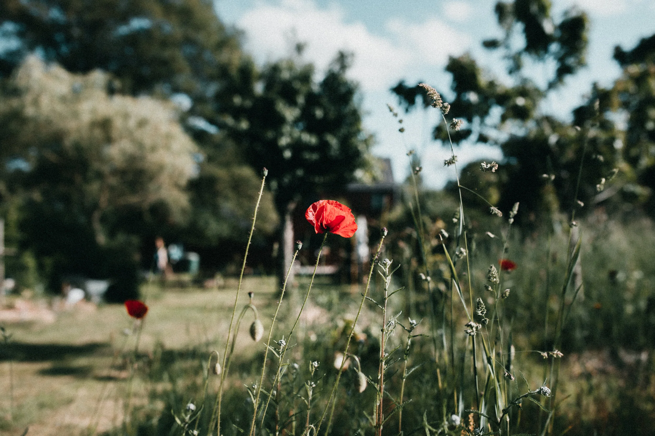 2019.05.30 st mars-8651.jpg