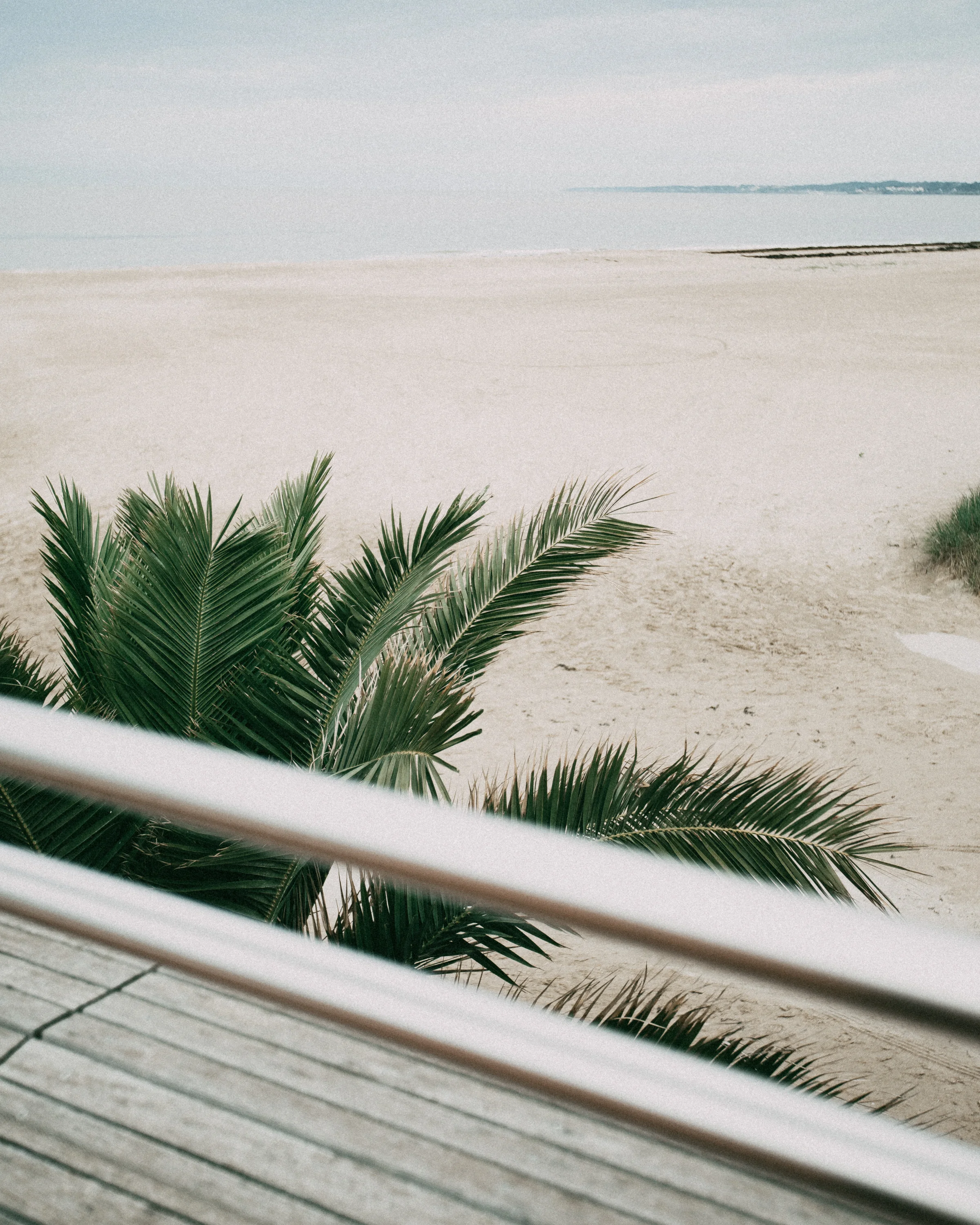 2019.06.09 bernerie-_A9A9415.jpg