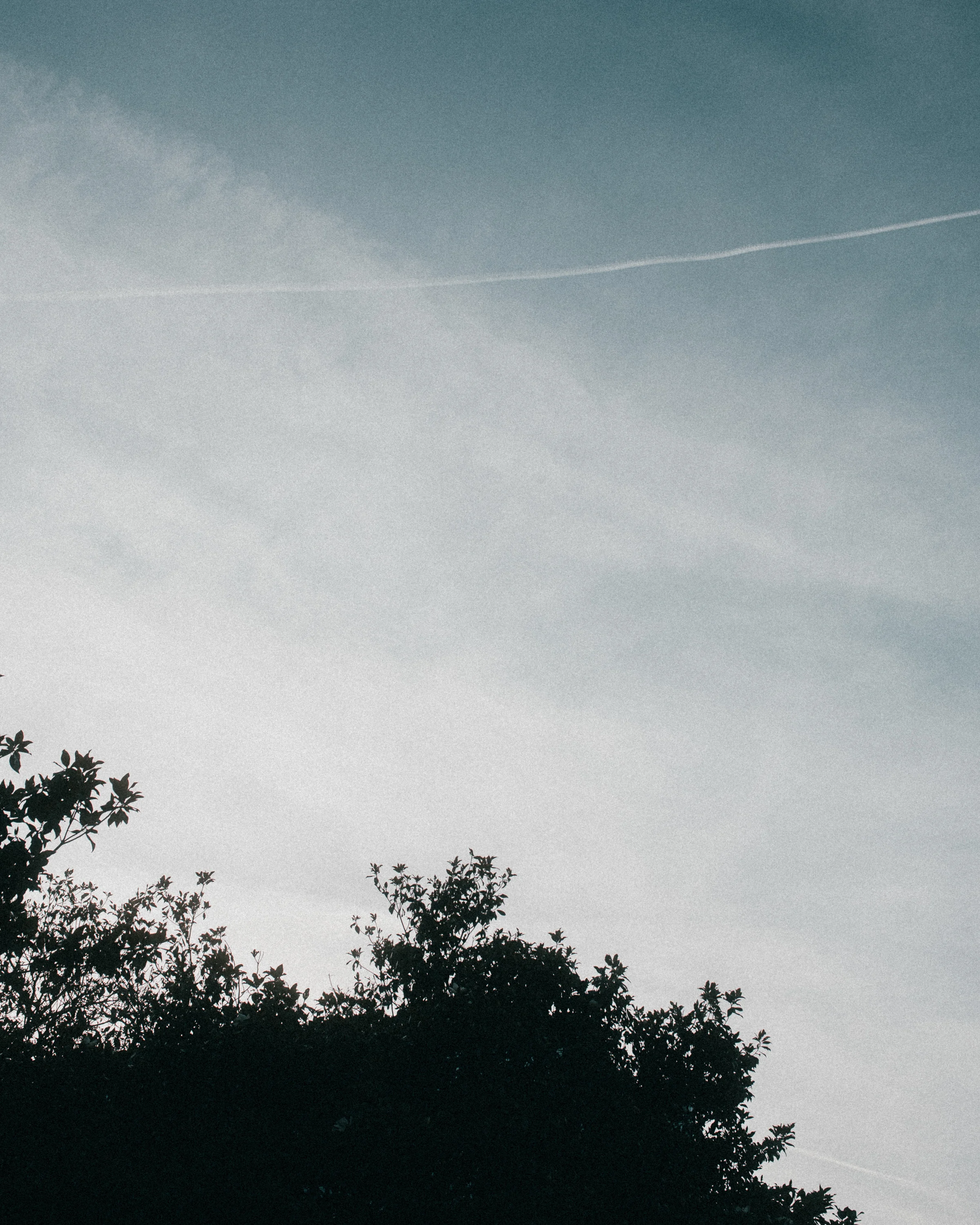 2019.06.17 Nantes-_A9A0211.jpg