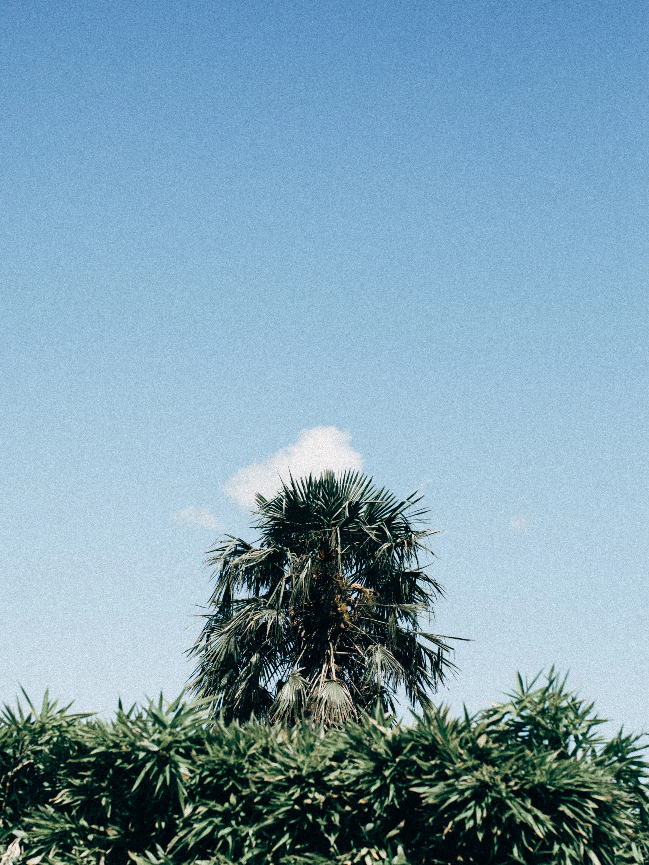 2019.07.28 GrdVal-_A9A2109.jpg