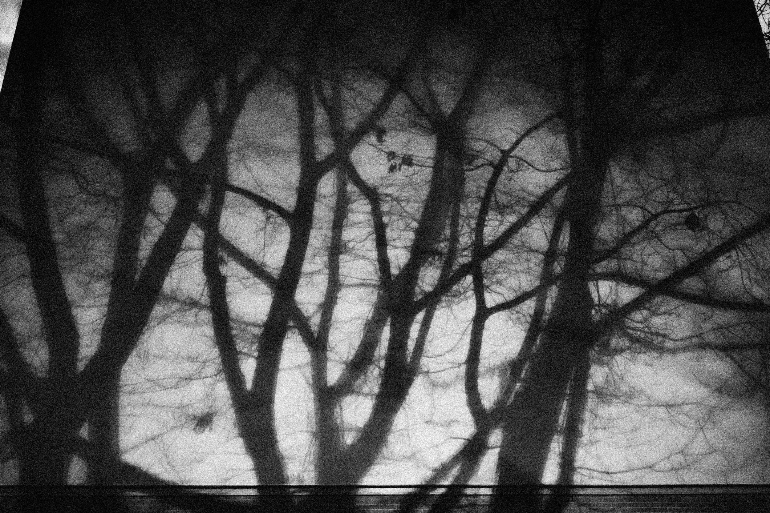 2025.11 LIFE_DSF2672.jpg