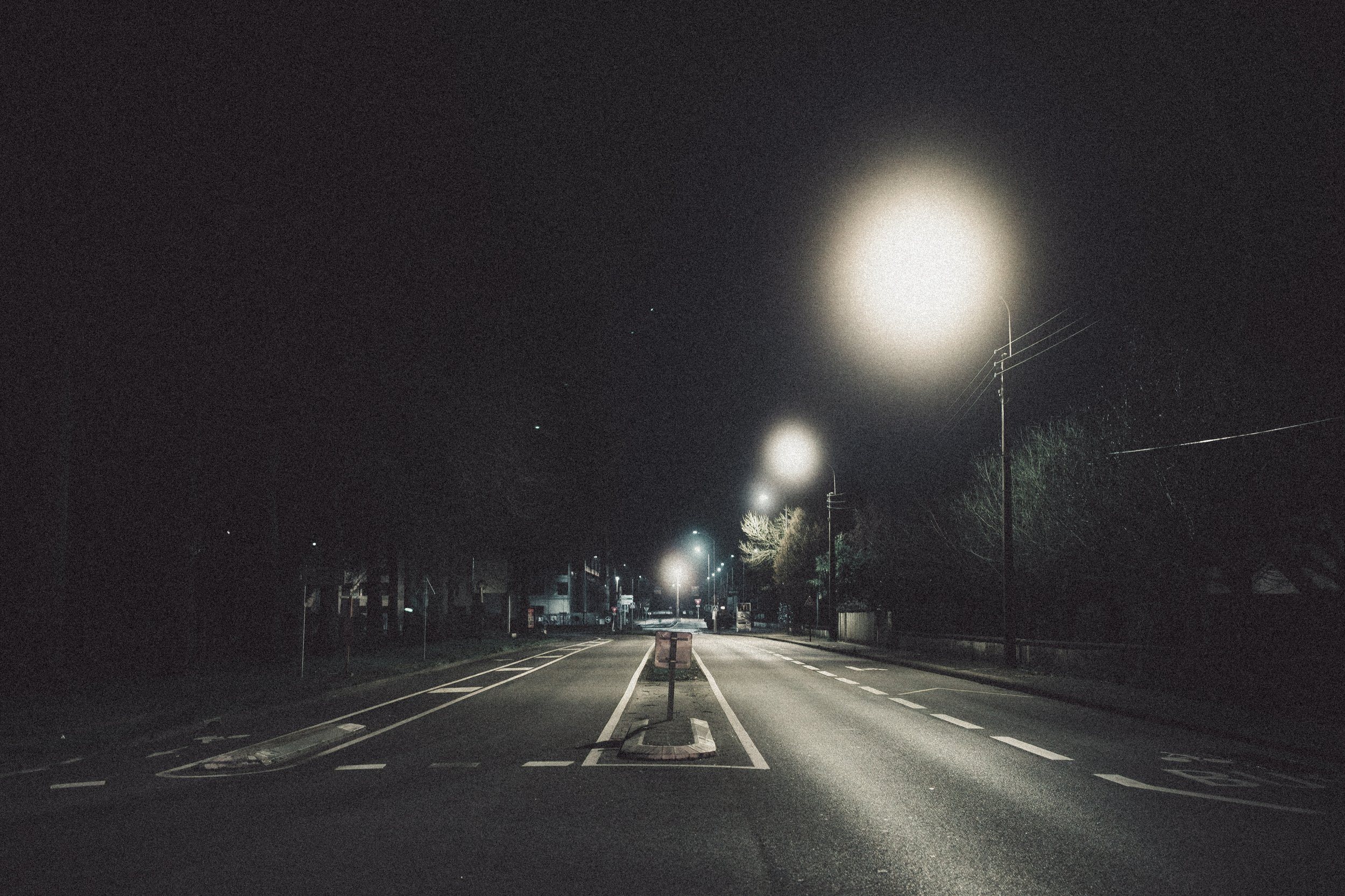 2026.02 LAME D'ARBRE_DSF4507.jpg