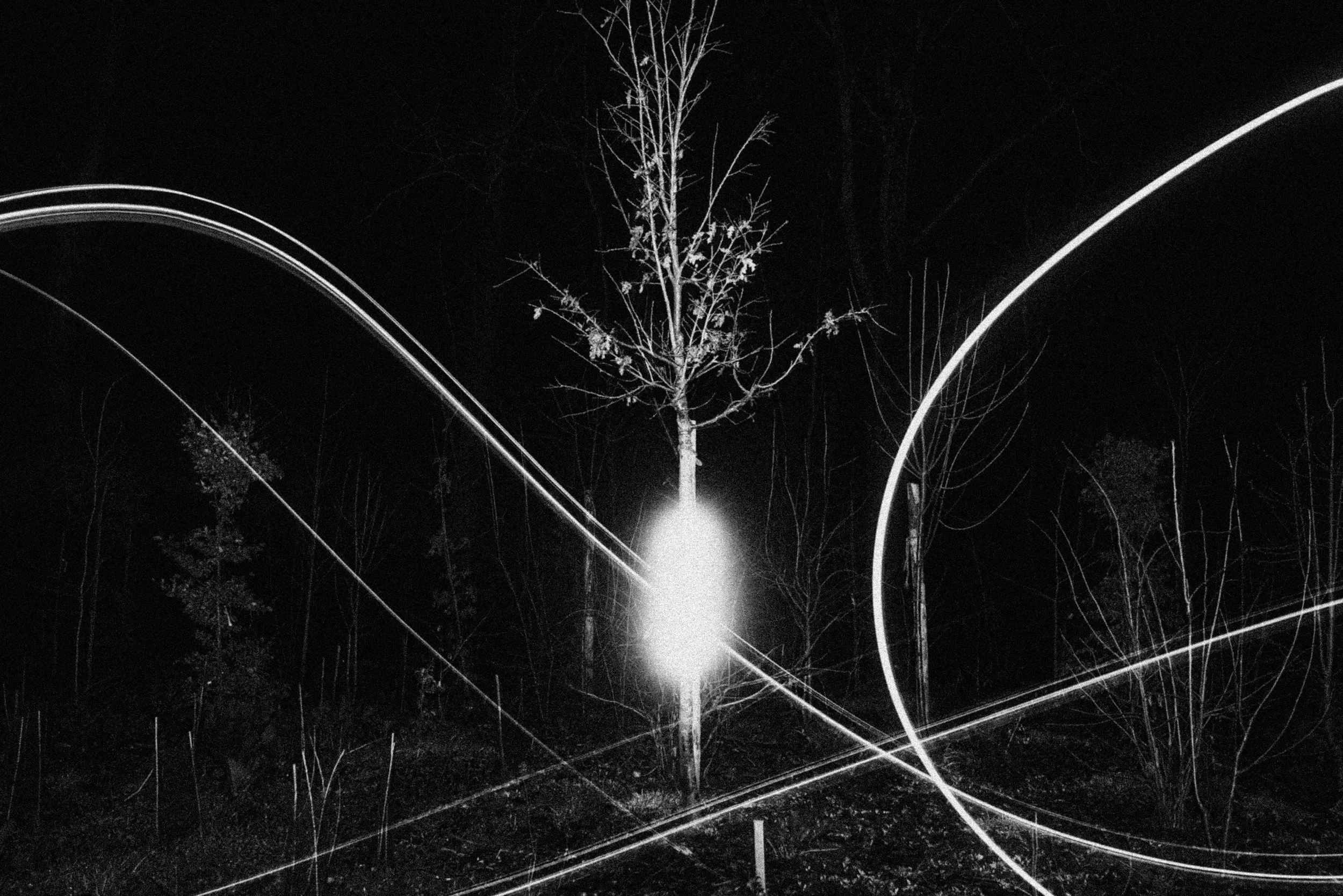 2026.02 LAME D'ARBRE_Z4A6893.jpg