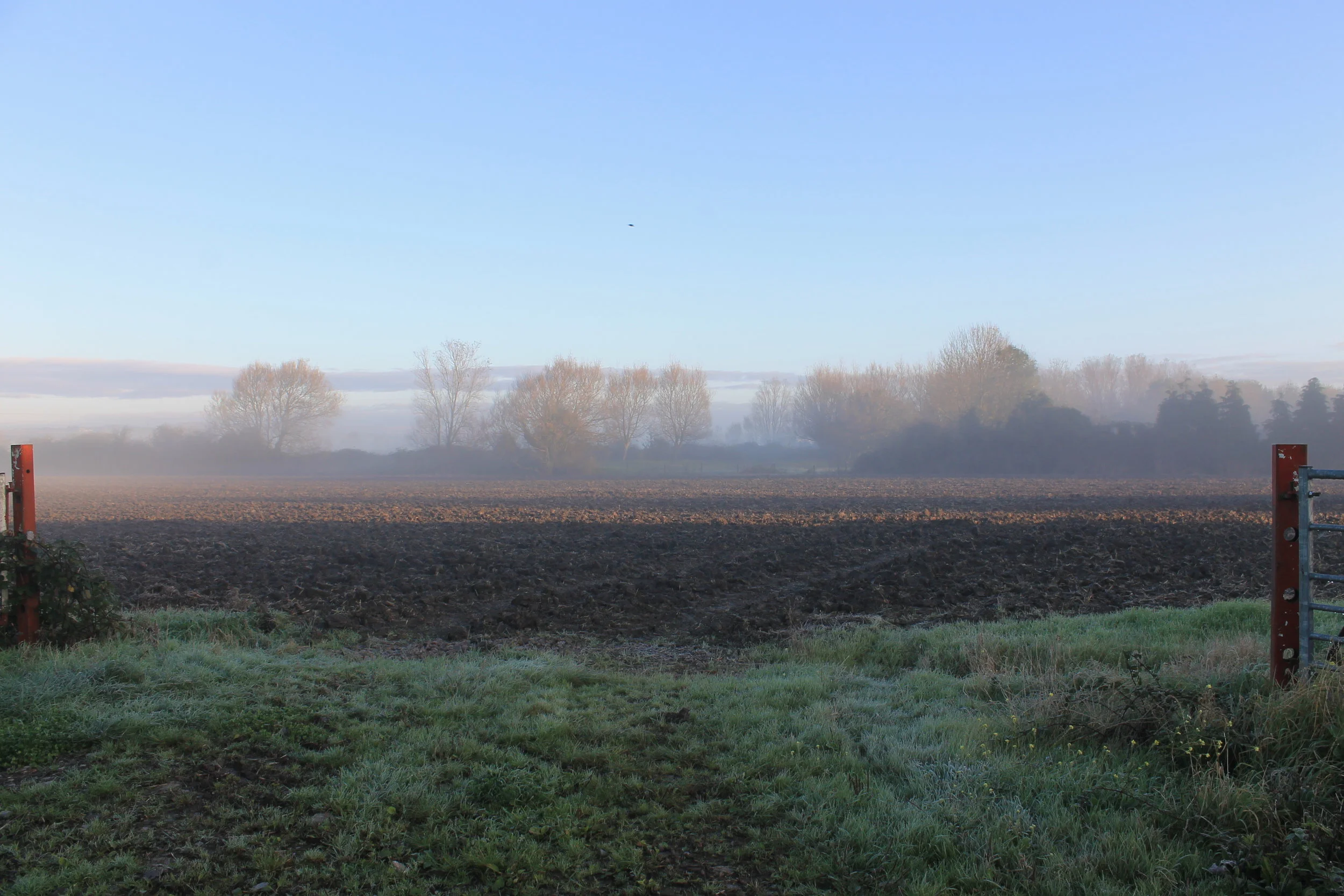 Farming the Gwent Levels Sustainably