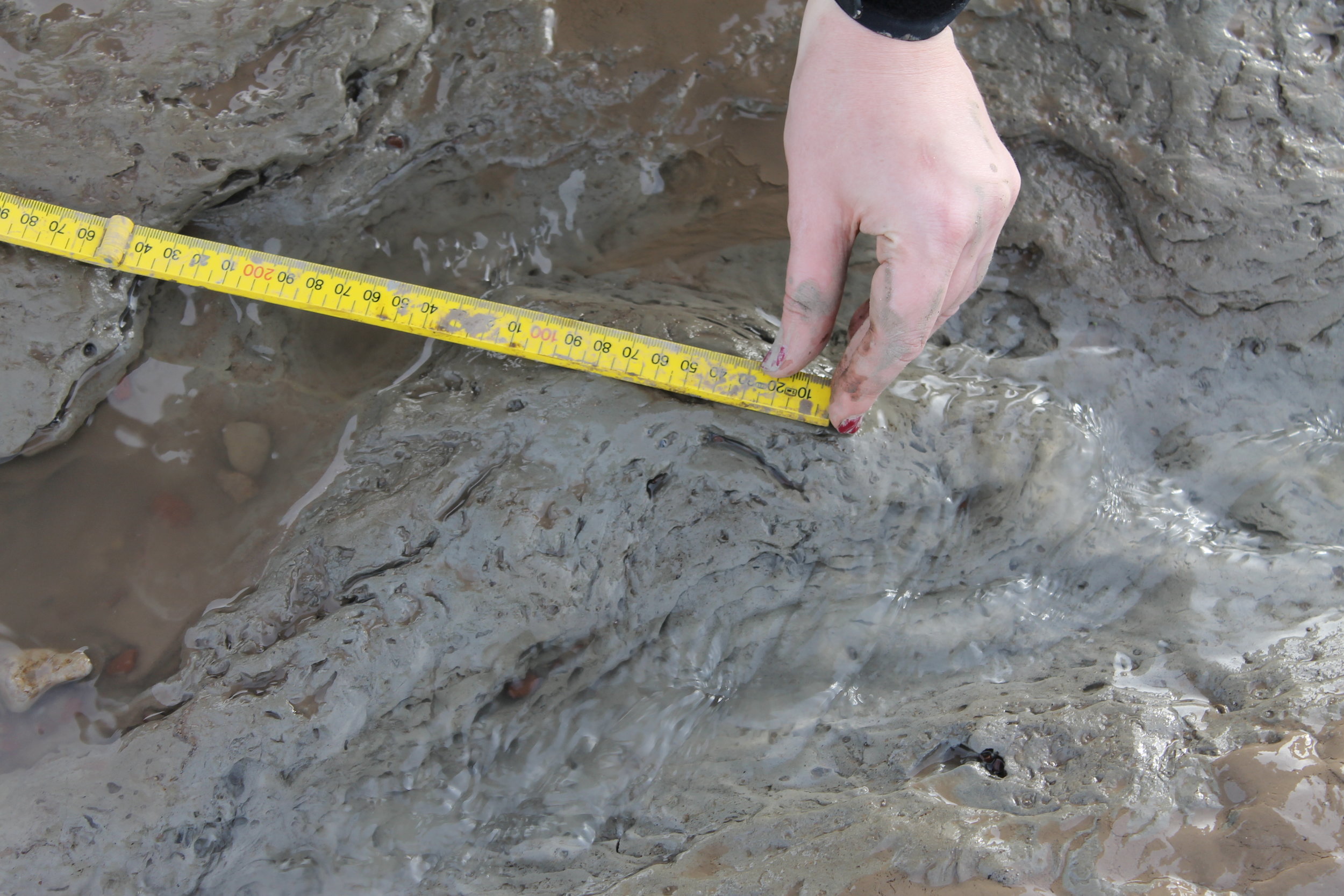 Recapturing the Historic Landscape — Living Levels