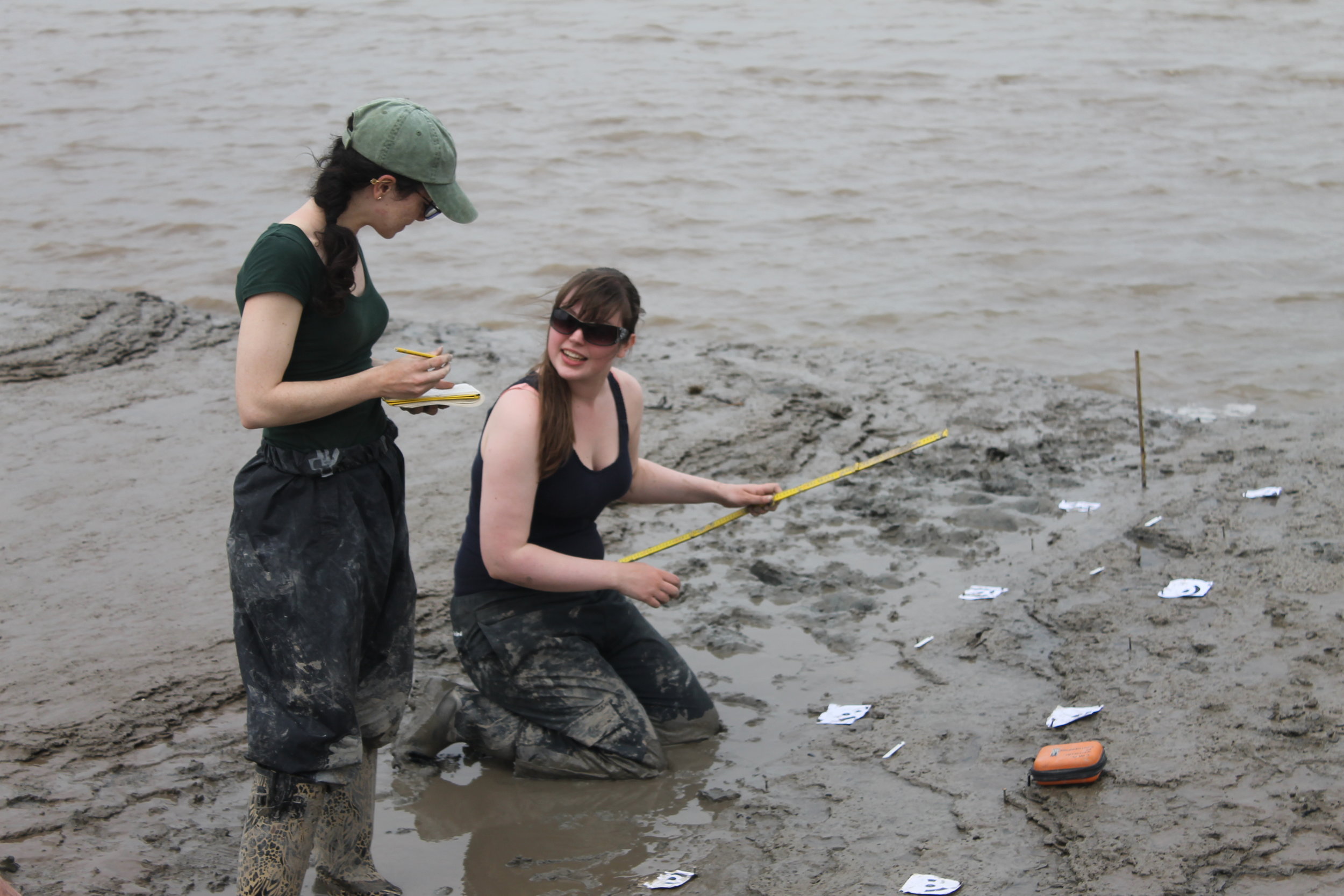  Archaeologists working on the foreshore, Goldcliff. 