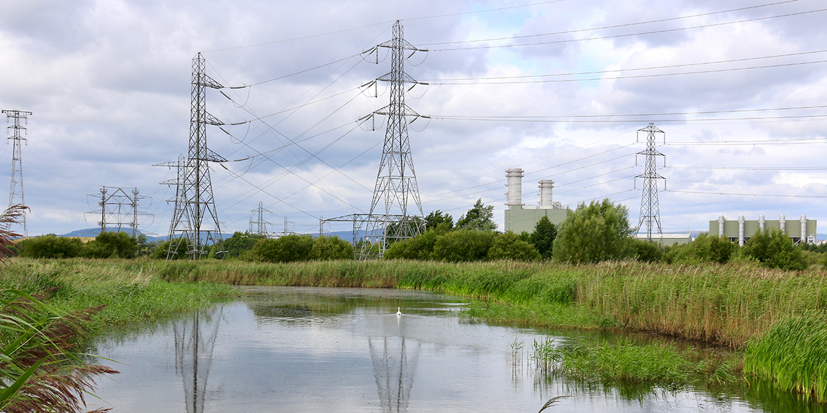  Newport Wetlands (Chris Harris) 