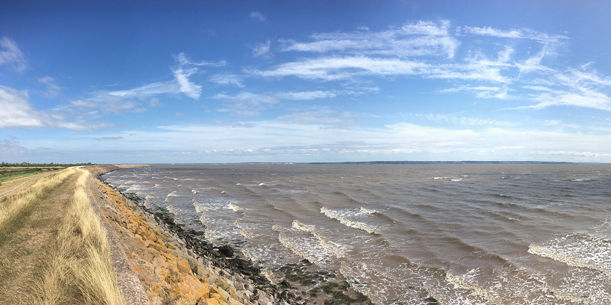  Sea wall, Goldcliff (Chris Harris) 