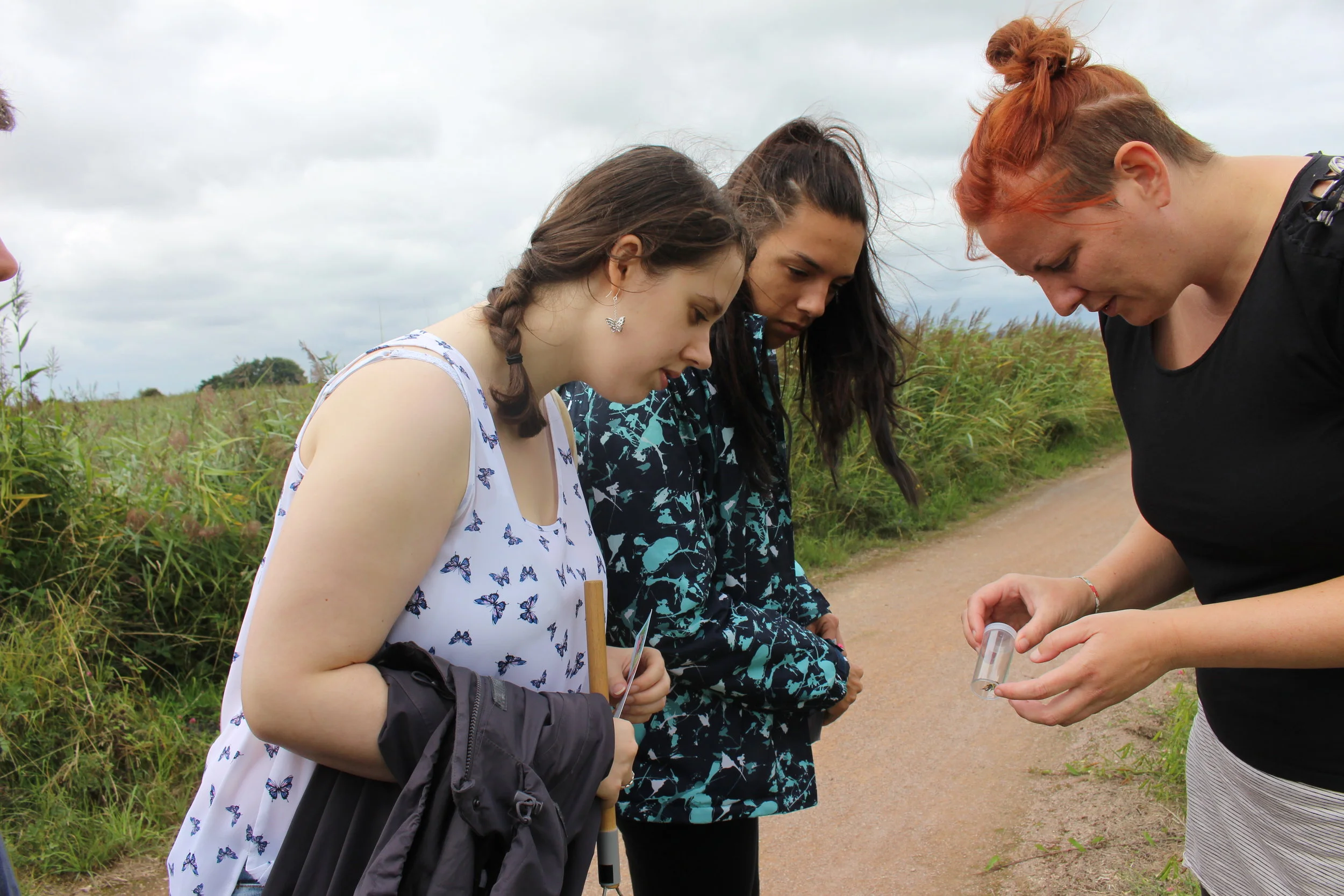 Mind your Bees and Peas-Shrill Carder bee training with the Pollinators project! 